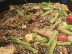 -老板恋上鱼(印象城店)