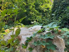 -李叔同故居纪念馆