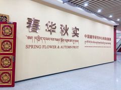 -西藏文化博物馆