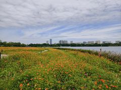 -海珠湖公园