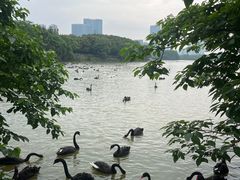 -艾溪湖湿地公园