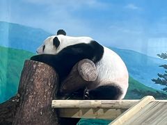 -南宁市动物园