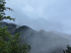 -牛背梁国家森林公园