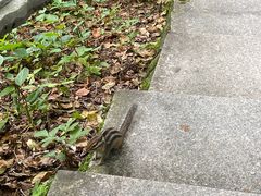 -茅兰沟国家森林公园