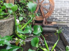 -悦真雅院·四合院·清真私房菜(雍和宫店)