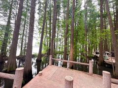 -东湖落雁景区