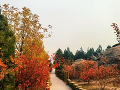 -白水寺森林公园