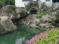 风景-莲峰云海景区