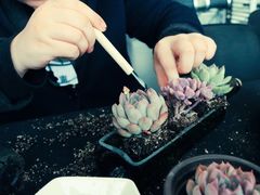 -淮南之星奔驰中心(大通店)