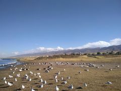 -青海湖国家重点风景名胜区