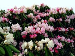 -终南山国家森林公园