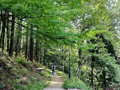 -莫干山风景区