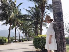 -亚龙湾国际玫瑰谷
