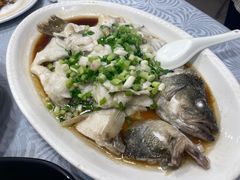 香葱淋鲈鱼-粤·向群饭店(龙津东路总店)