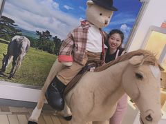 -济州岛泰迪熊博物馆