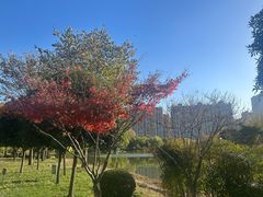 -木塔寺遗址生态公园
