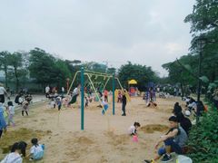 -飞来湖湿地公园