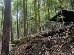 -凤栖山