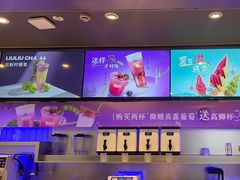 -TD66高山铁皮石斛养生茶饮