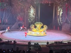 -广州长隆国际大马戏