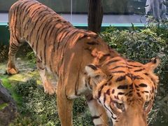 -国家自然博物馆