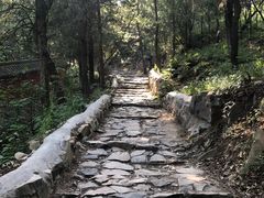 -阳台山自然风景区