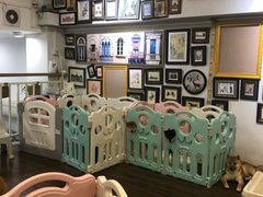 -柯斗斗主题餐厅·狗咖·围炉煮茶·茶饮(国瑞升平里店)