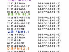 -枫花园汽车电影院(朝阳公园店)