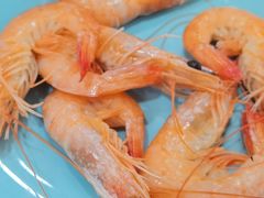 野生麻虾-旭璟酒家·传统粤菜·湘菜(逸景路店)