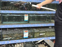-锐记美食店·现捞海鲜(闸坡店)
