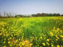 -西海岸生态观光园