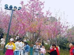 -龟山风景区-龟山电视塔