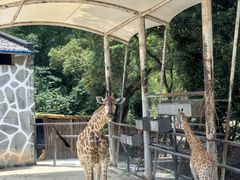 -泉州海丝野生动物世界