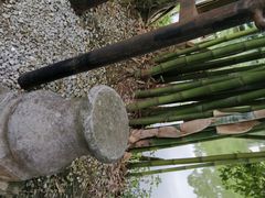 -老木棉·匠园