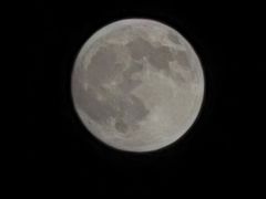 -文宇奶酪店(南锣鼓巷店)