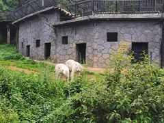-云南野生动物园