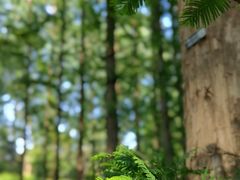 -国家植物园南园