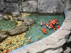 -嘉兴海底世界
