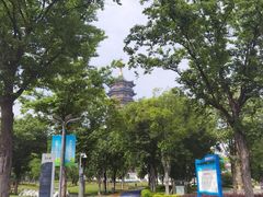 -葛仙湖公园