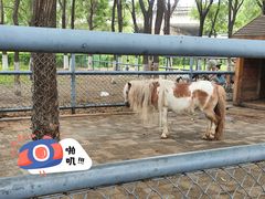 -长白岛森林公园