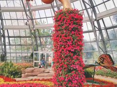 -芽庄珍珠岛游乐园