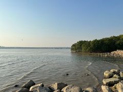 -宝安西湾红树林湿地公园