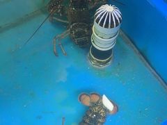 -鲜味食族水产·海鲜餐厅