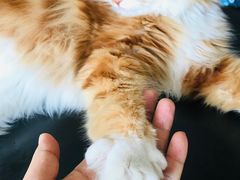 -平行世界·猫咖(首经贸店)