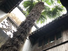 -乌镇东栅景区