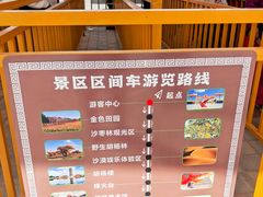 -金塔沙漠胡杨林景区