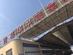 -重振华中蔬菜批发市场(重庆中路店)