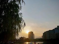 -雁滩公园