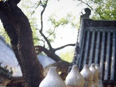 -中岳庙