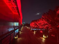 -中国浦东干部学院